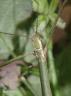 DSCF1680.jpg